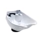 Sumo2021Basin.jpg
